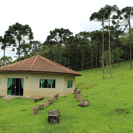 Villa Sitio Arapongas Campo Alegre  Exterior foto