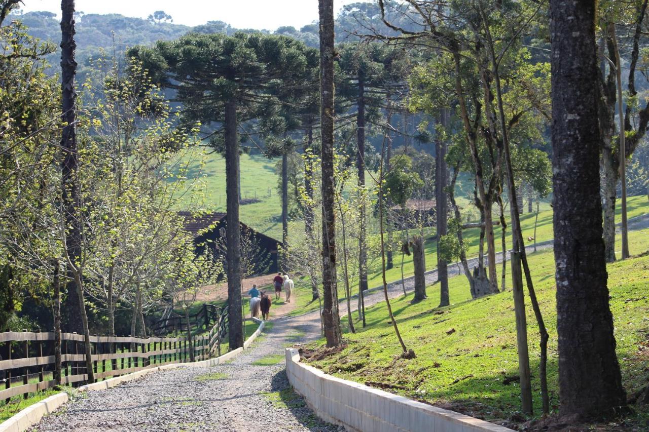 Villa Sitio Arapongas Campo Alegre  Exterior foto